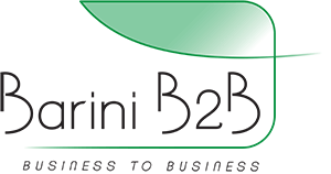 Barini B2B
